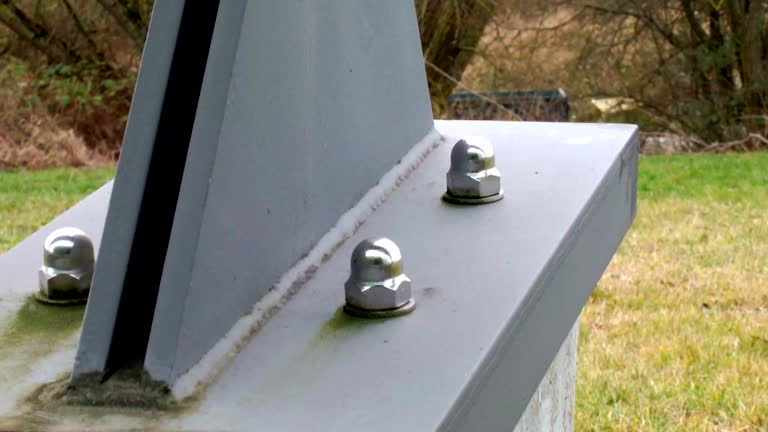 Best Commercial Mold Inspection  in Mead, CO